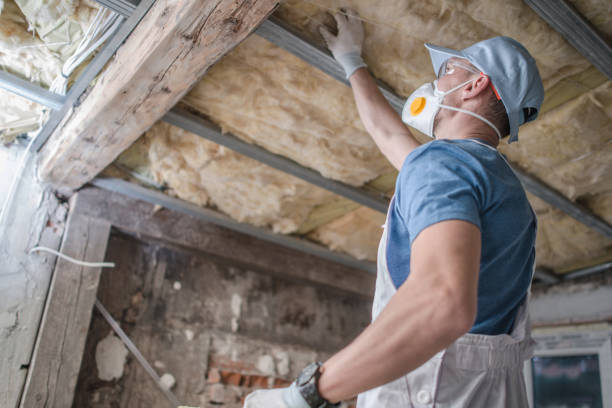 Best Attic Insulation Installation  in Unicoi, TN