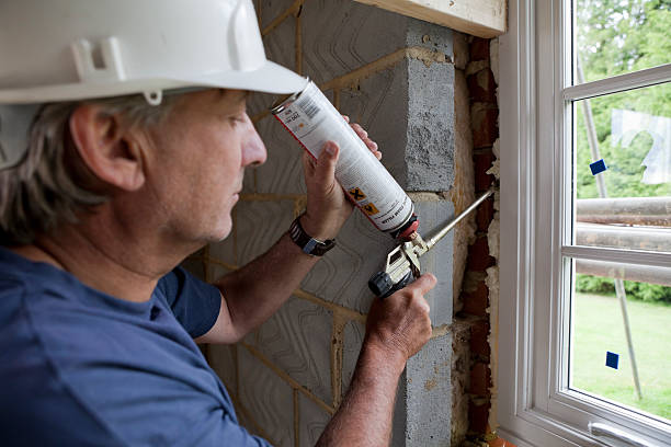 Best Insulation Replacement Services  in Unicoi, TN