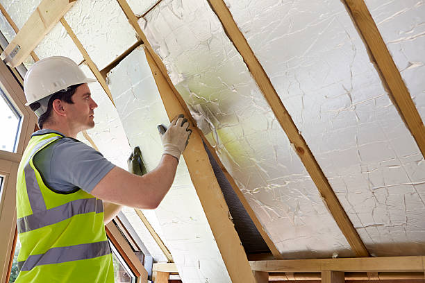 Best Best Insulation Companies  in Unicoi, TN