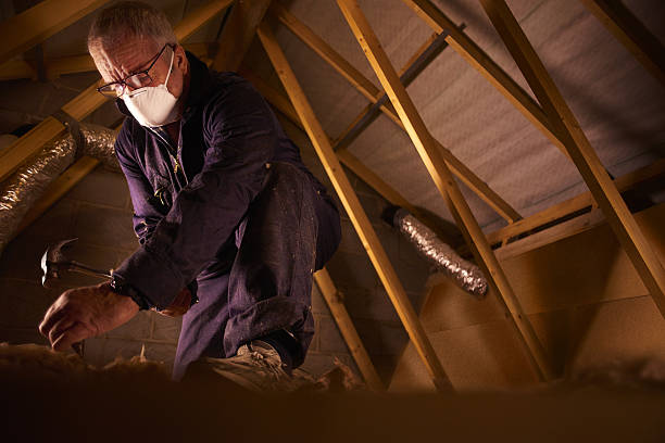 Best Insulation Contractor Near Me  in Unicoi, TN