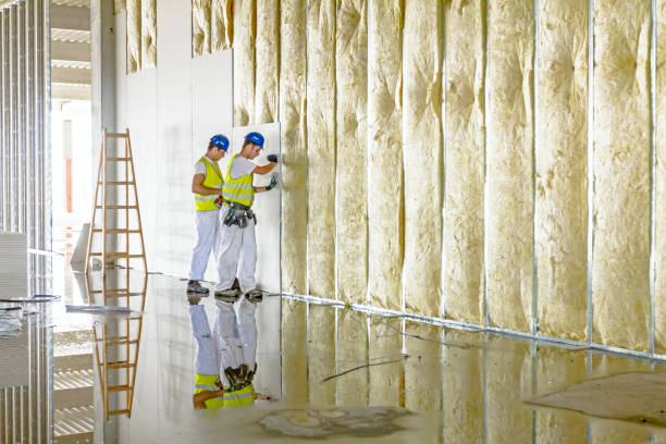 Best Wall Insulation Contractor  in Unicoi, TN